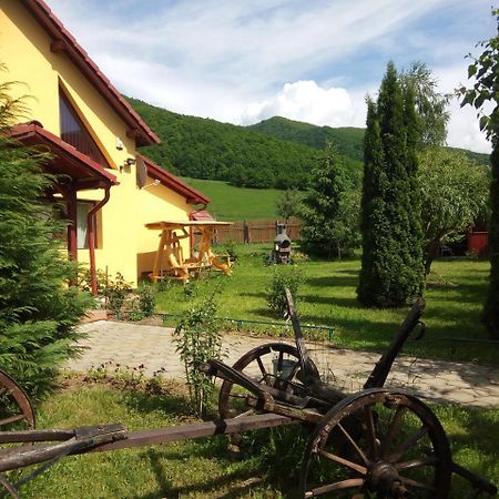 Home Away From Home Gura Raului Exterior photo