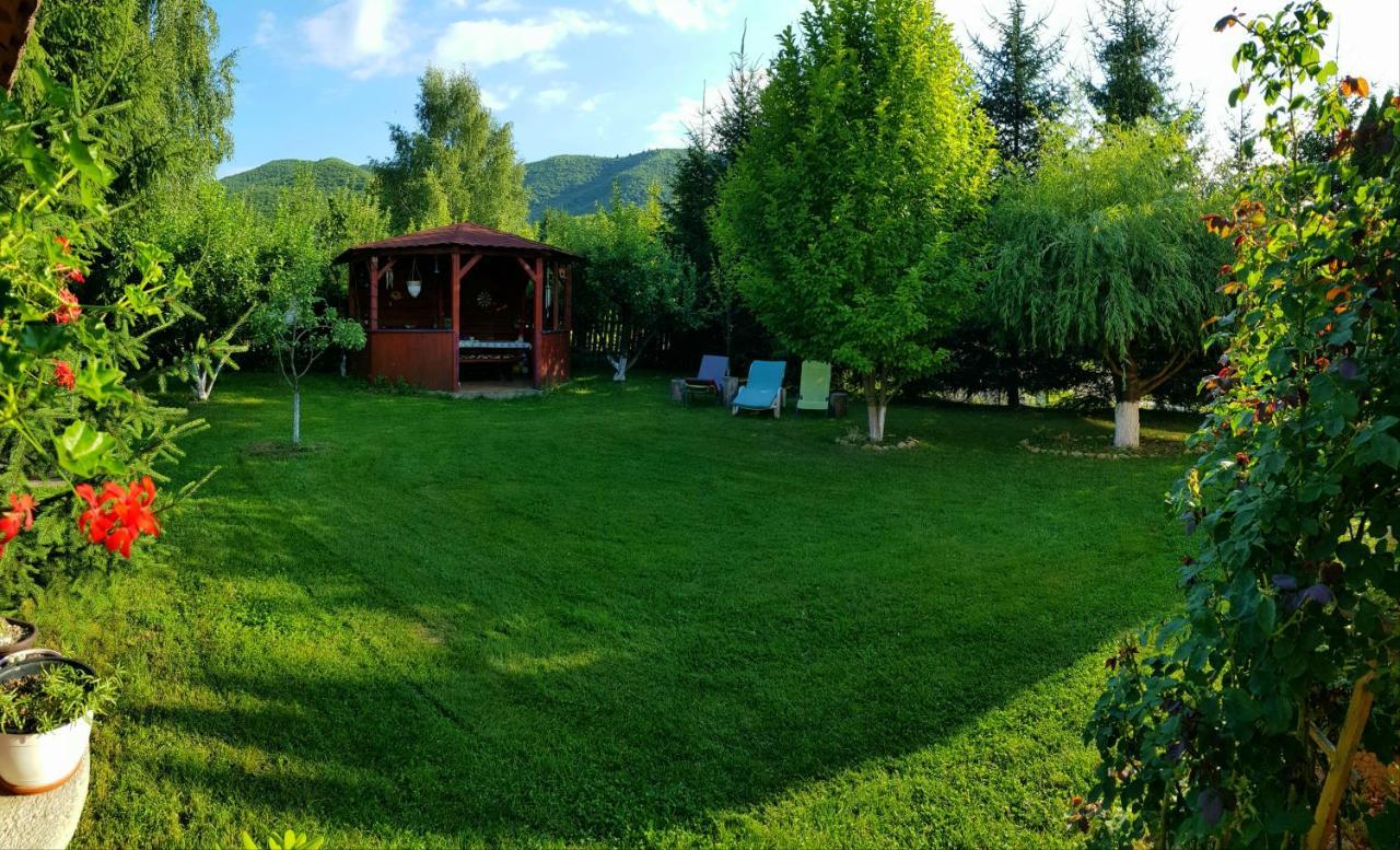 Home Away From Home Gura Raului Exterior photo