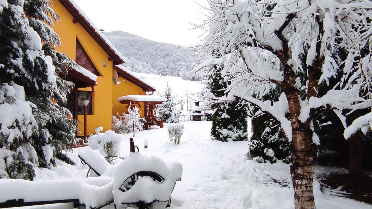 Home Away From Home Gura Raului Exterior photo