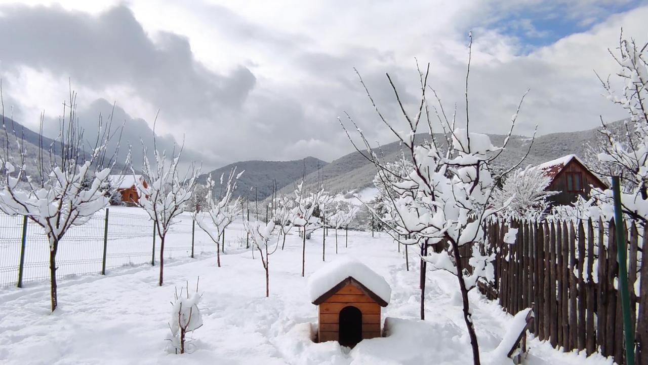 Home Away From Home Gura Raului Exterior photo